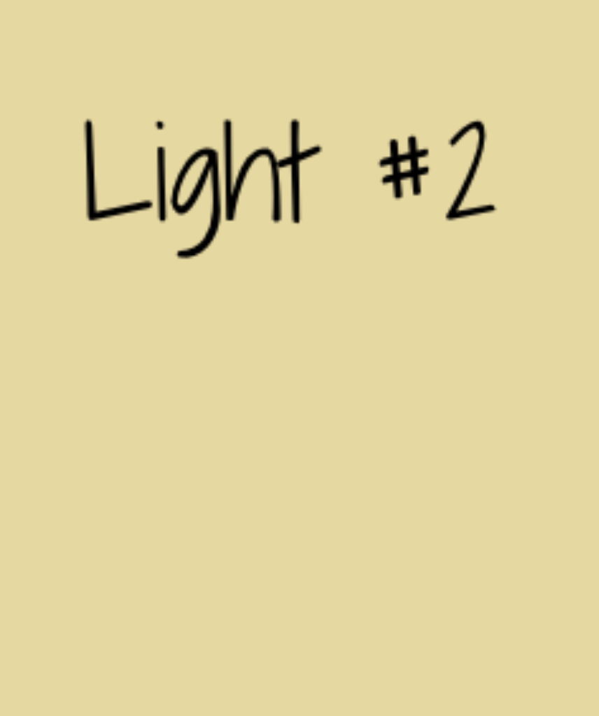 Full Coverage Mineral Foundation